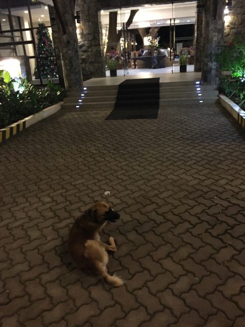フィリピンパラワン島のmarianne-hotelマリアンホテル入り口