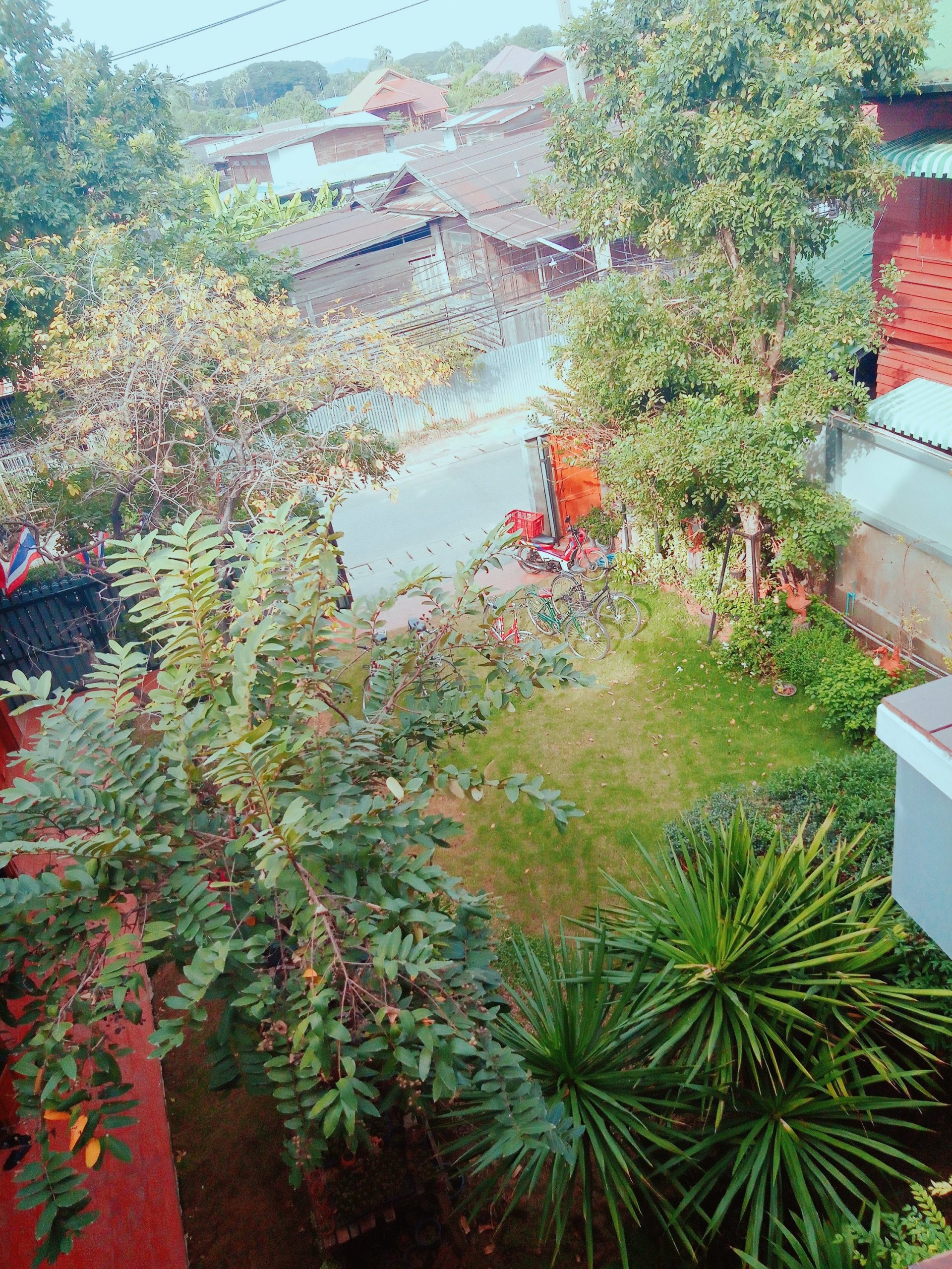 sukhothai gardenスコータイガーデン庭
